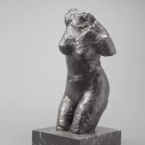 Femme se frottant le dos avec une éponge, torse - Edgar Degas