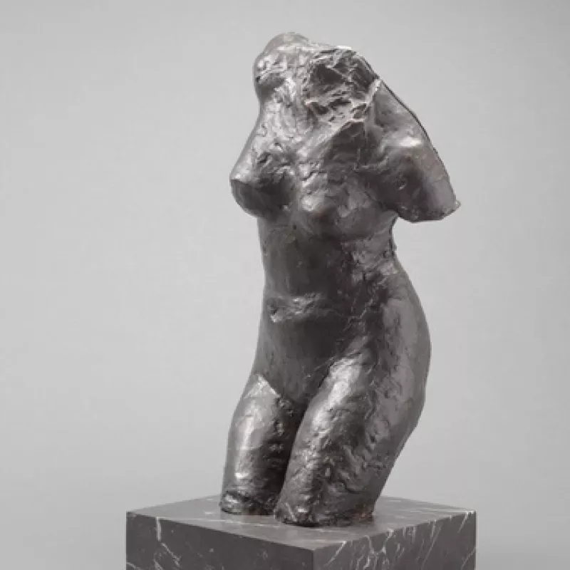 Femme se frottant le dos avec une éponge, torse - Edgar Degas